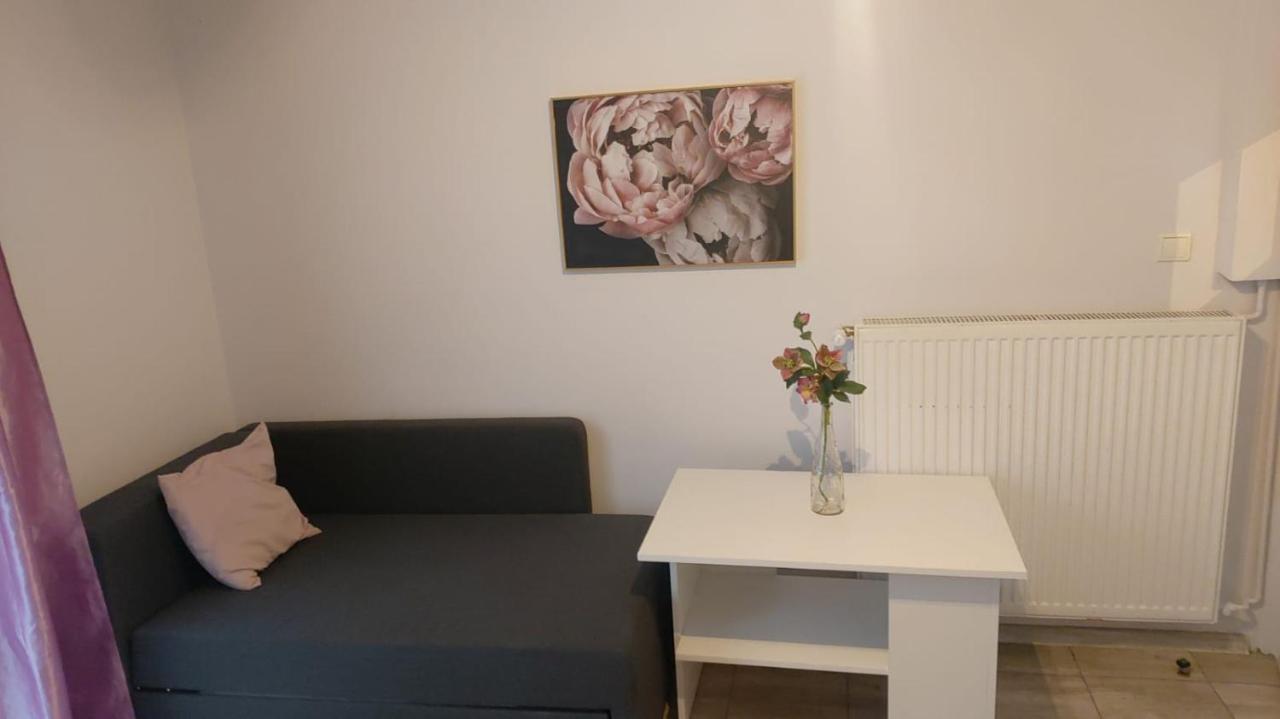 Apartamenty Grapa Wisla Bagian luar foto