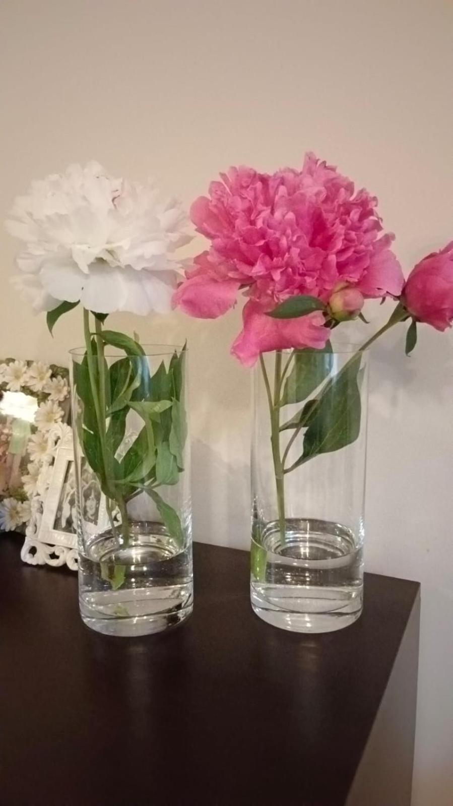 Apartamenty Grapa Wisla Bagian luar foto