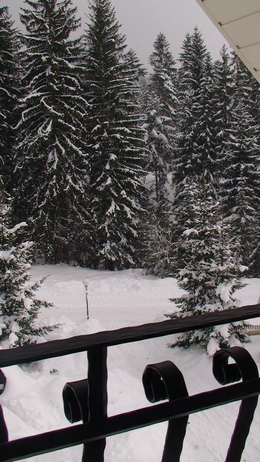 Apartamenty Grapa Wisla Bagian luar foto